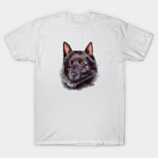 Schipperke T-Shirt